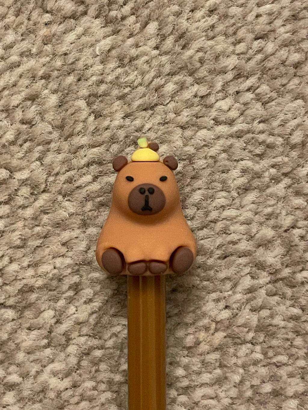 Capybara pens