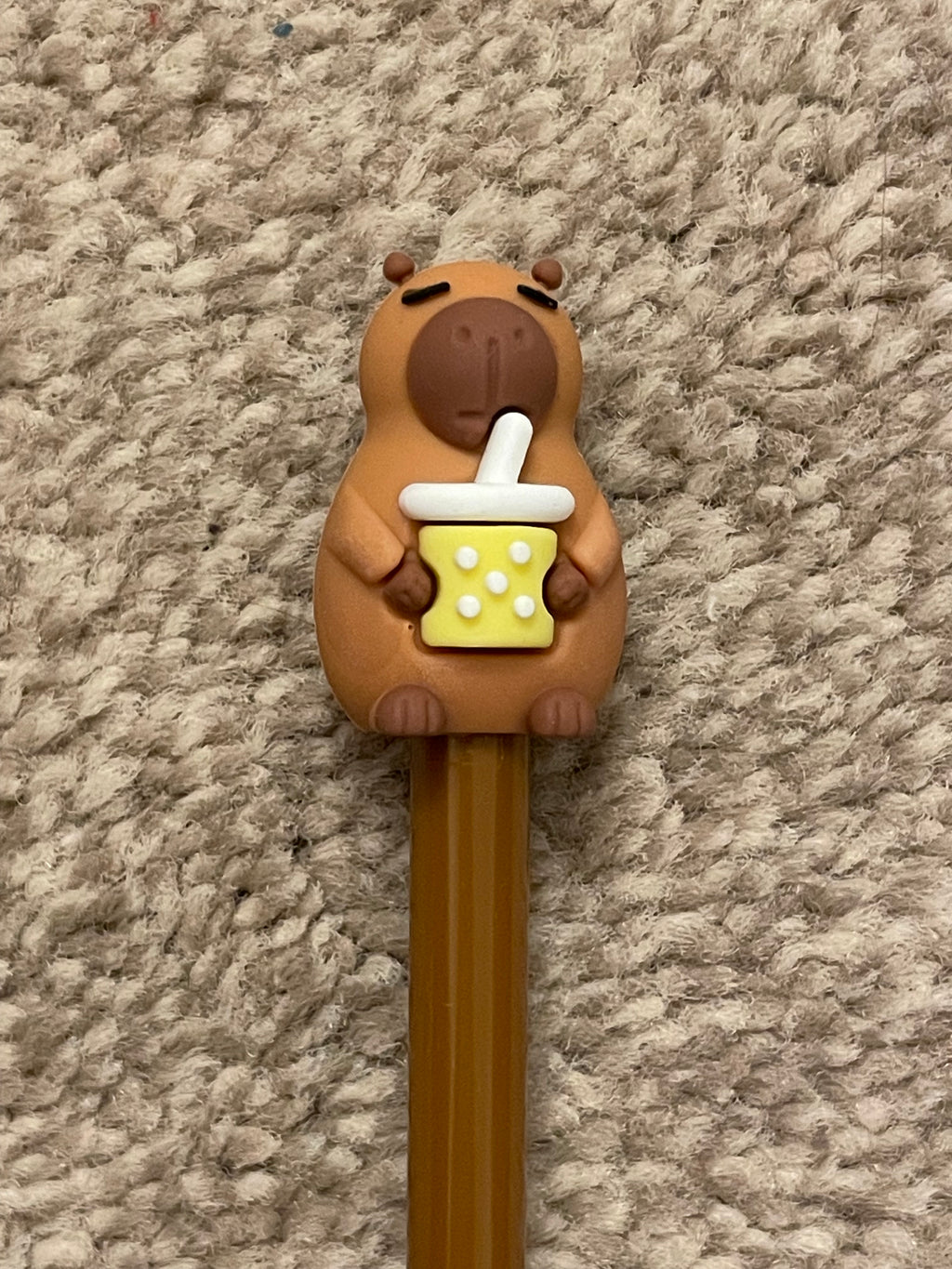 Capybara pens