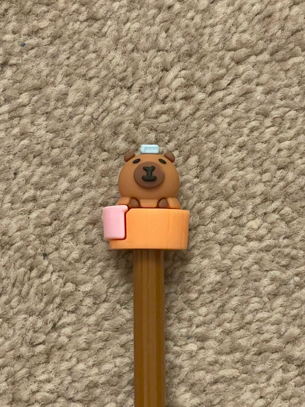 Capybara pens