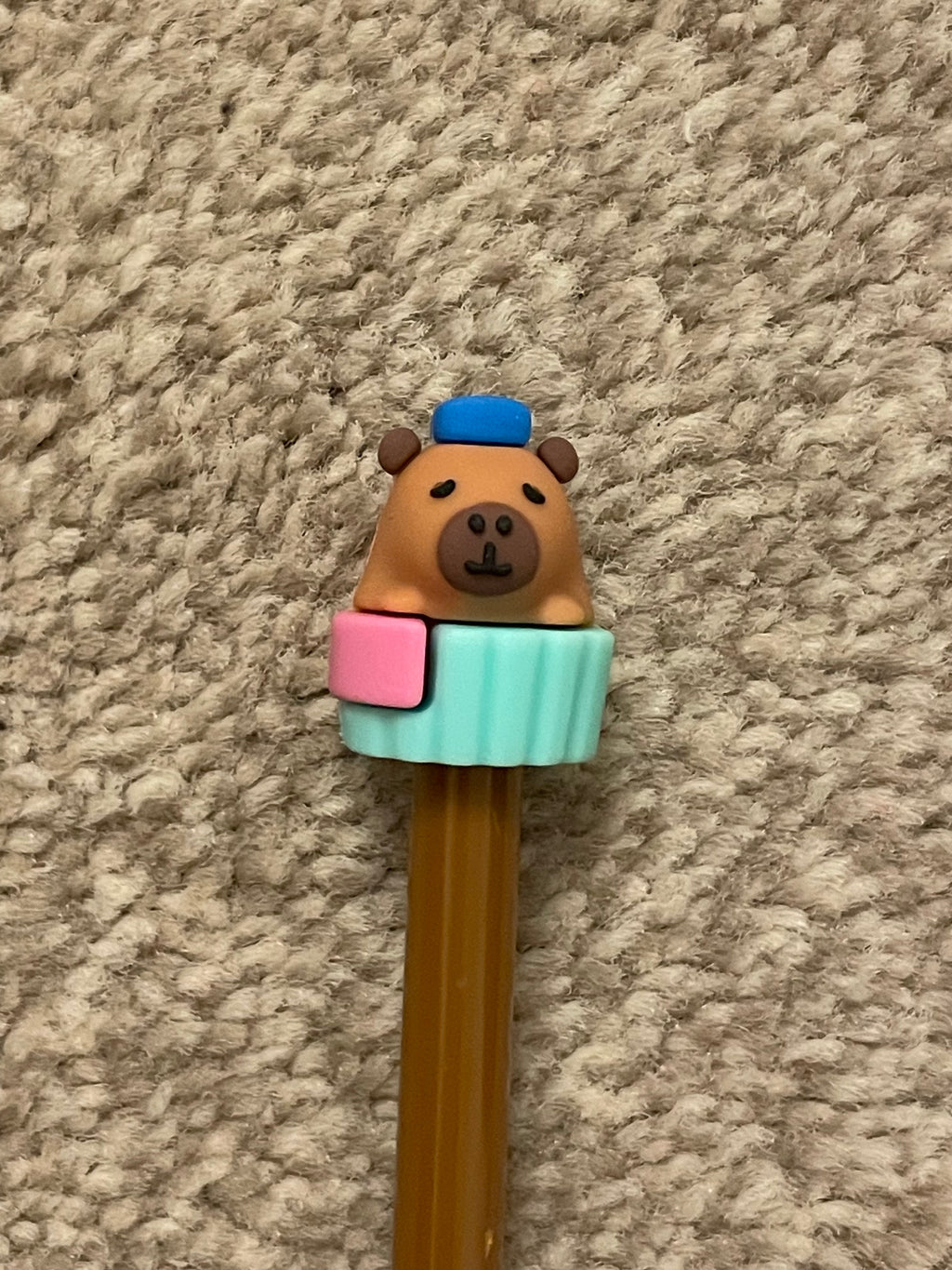 Capybara pens