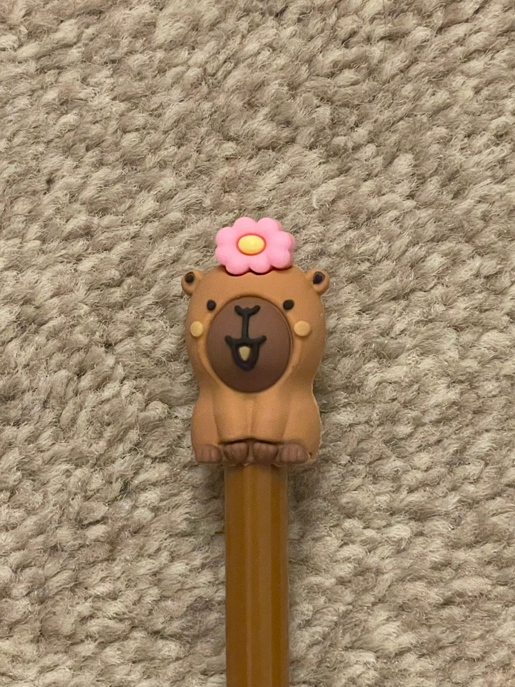 Capybara pens