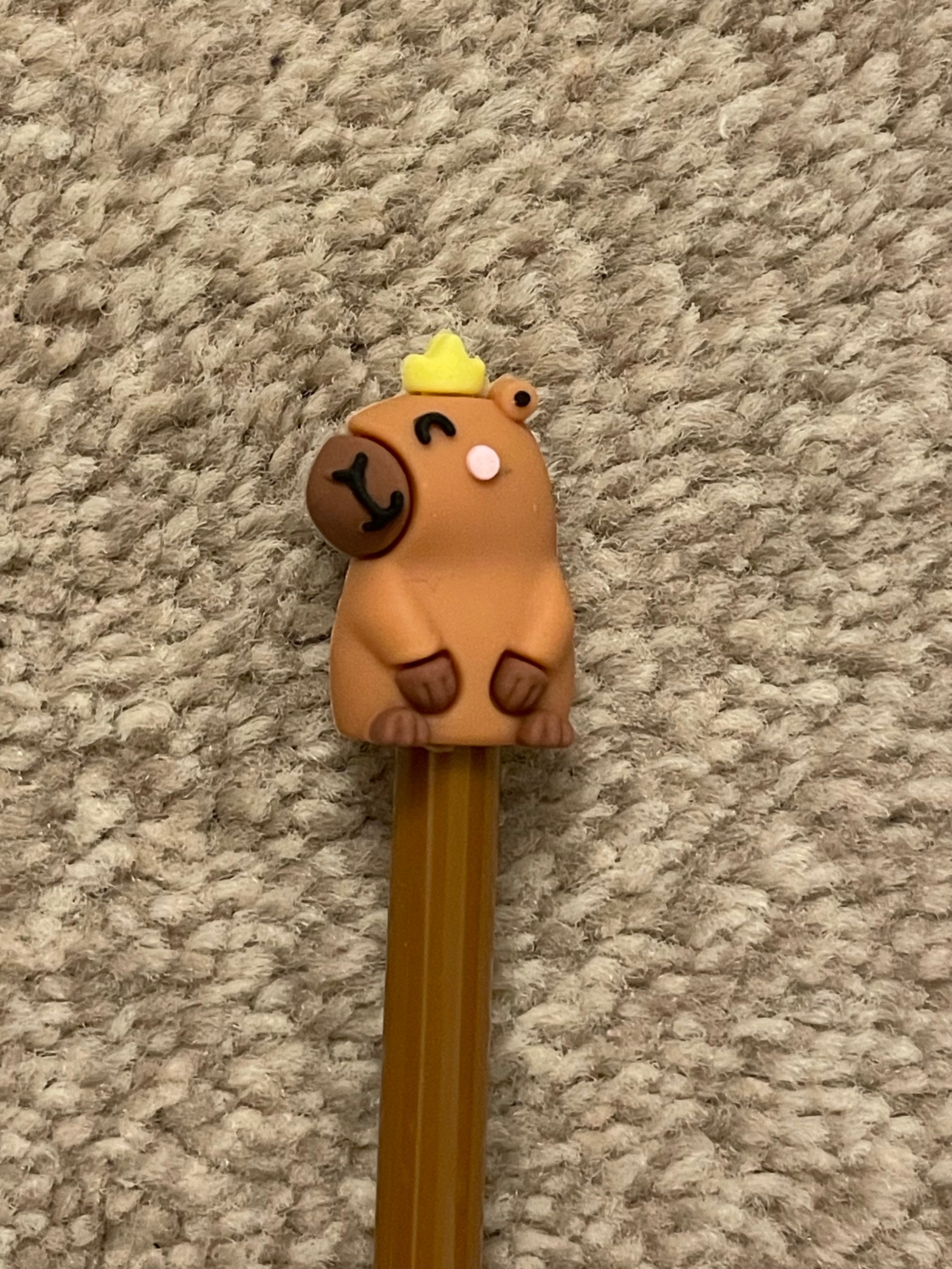 Capybara pens