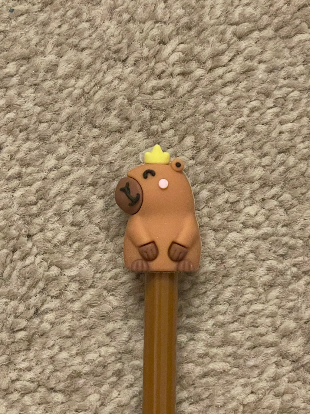 Capybara pens